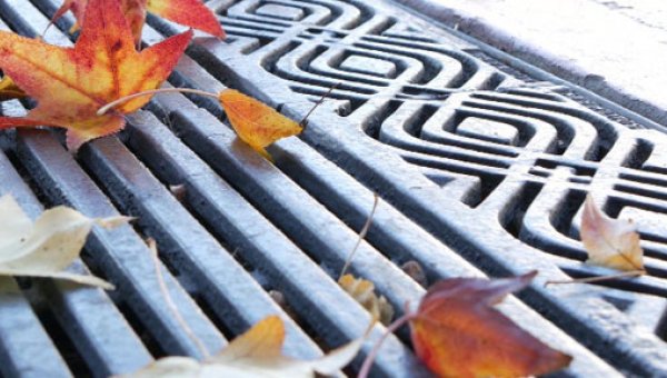 How to Keep a Drain Clear of Leaves