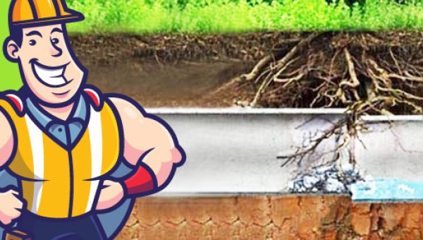 Problèmes de racines dans le drain principal