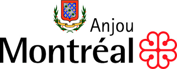 ville-anjou nettoyage de drain ville anjou